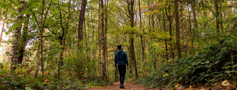 Man walking through nature